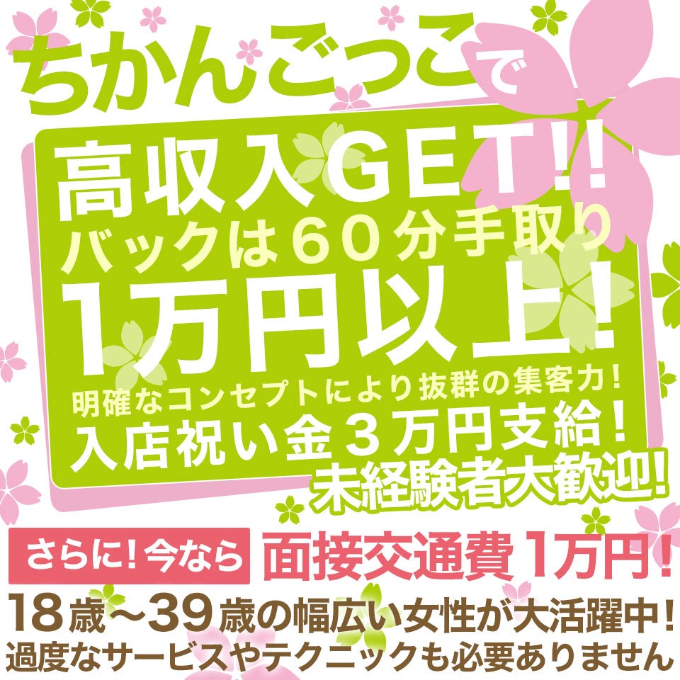 料金システム│全裸革命orおもいっきり痴漢電車