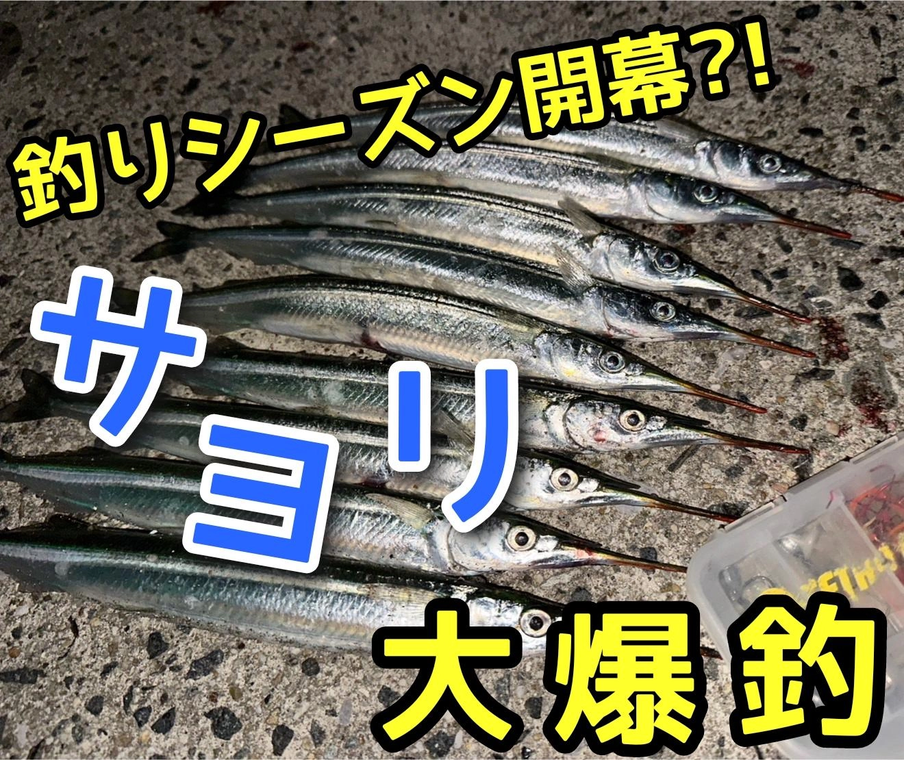 終了】プライム感謝祭セール、！みんな何を買っている？爆買い報告まとめ - Togetter [トゥギャッター]