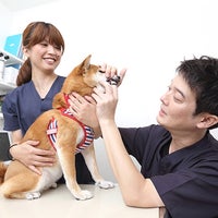 豪徳寺なみき動物診療所│東京都優良動物病院