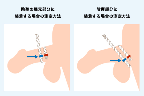 【睾丸トラブル】玉がいたい！もしかしたら「精巣上体炎」かもしれません！