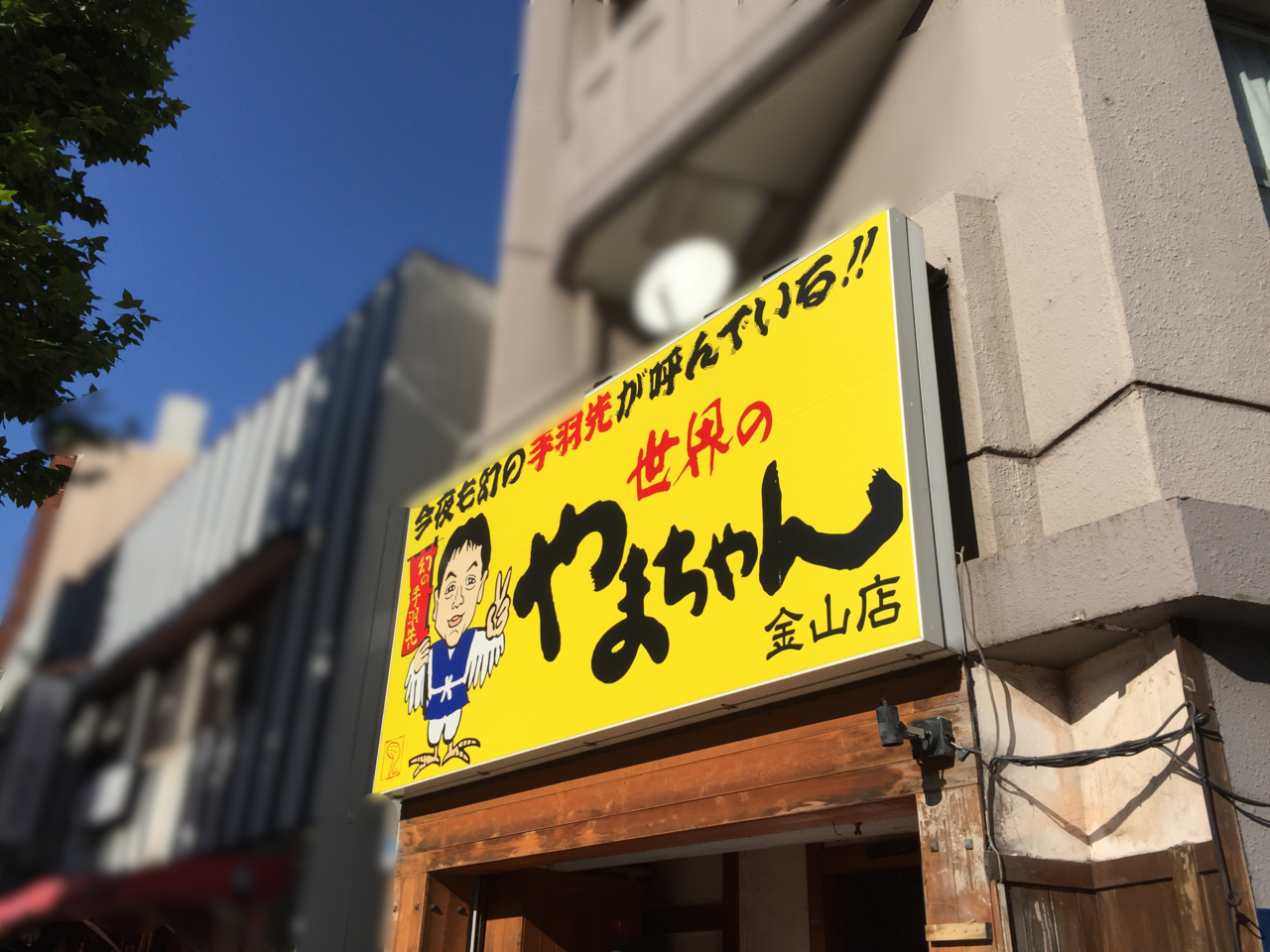 世界の山ちゃん 金山南店 メニュー：料理 -