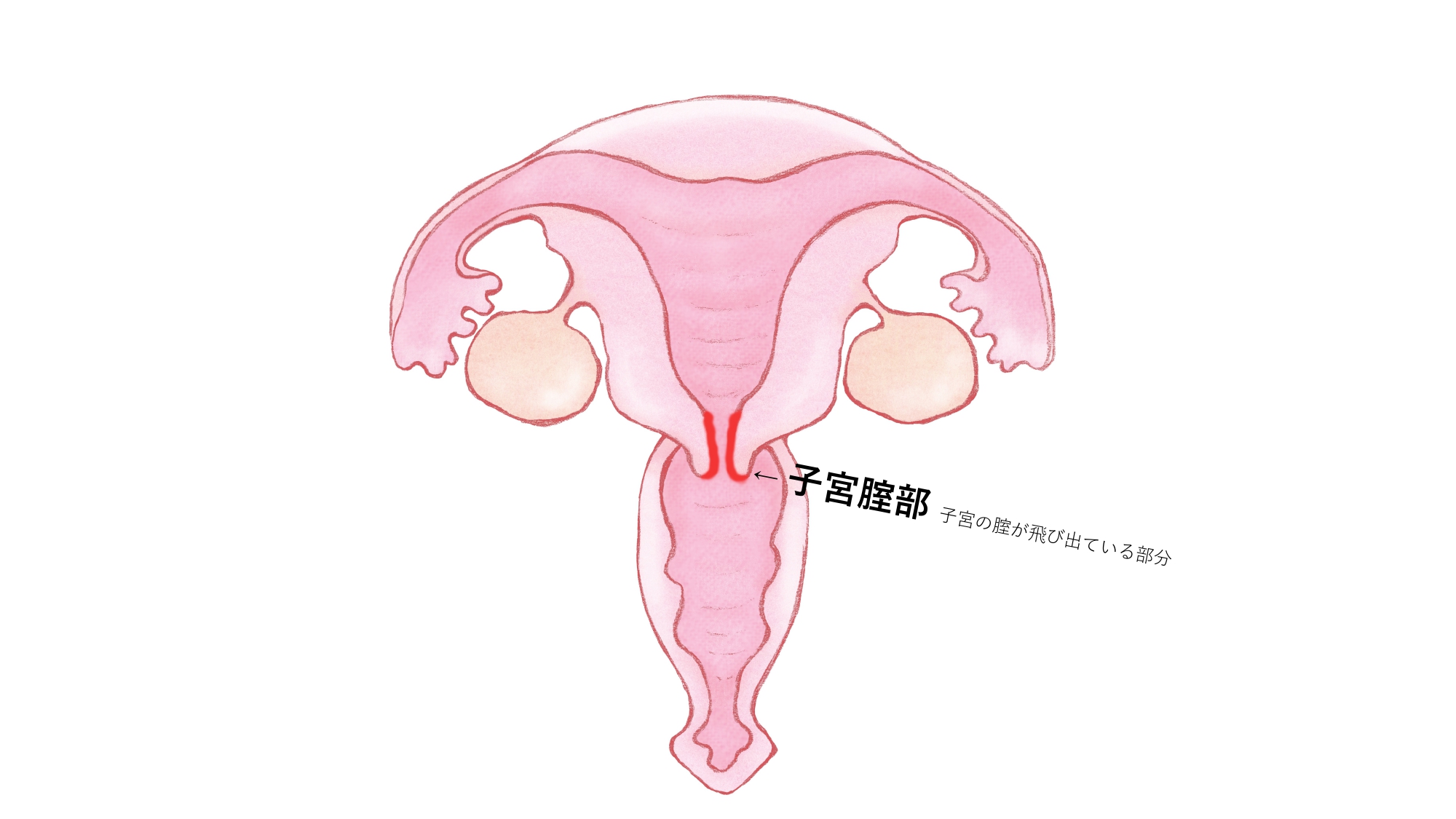 イクッ…///」そのとき受けはどんな顔をしているか｜BLニュース ちるちる