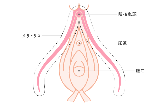 女性が自慰行為で「達する」までの平均時間は16.7分（調査結果） | ランドリーボックス