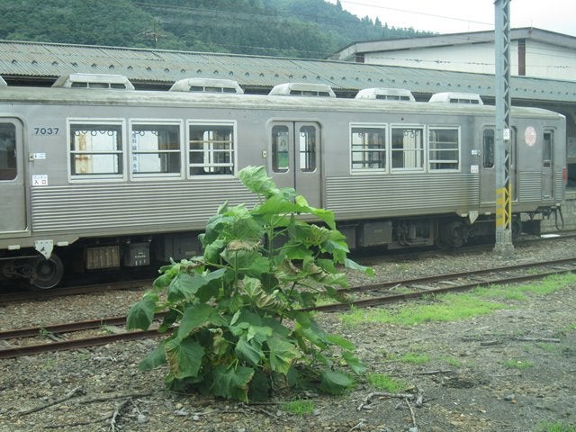 廃墟 青森DX劇場: 昭和スポット巡り｜観光地｜商店街｜純喫茶｜食堂