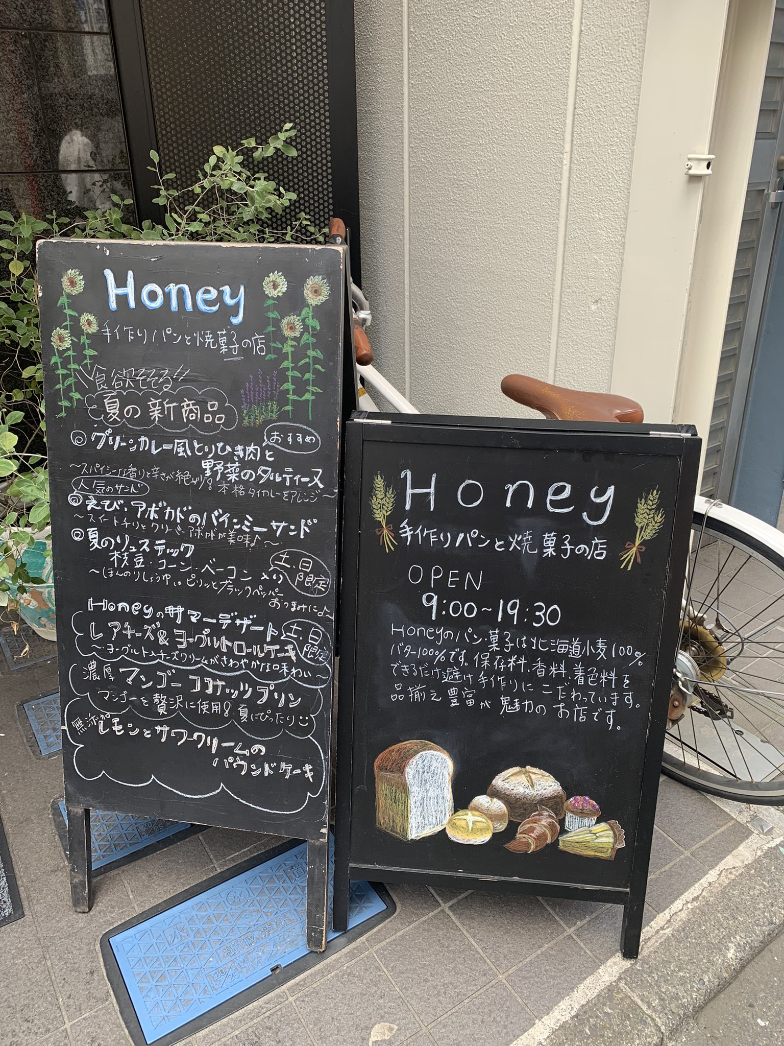 写真 : Honey （ハニー）