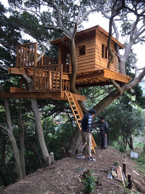 中村拓志＆NAP建築設計事務所による、神奈川・箱根町の「火の山のツリーハット／Tree Hut on  Volcano」。自然を愛する施主が販売する家の第一号として計画、建物を約5mの高さに浮遊させ世俗から離れた空間を実現、内部では神殿を参照して自然との繋がりと地域の人々の山へ