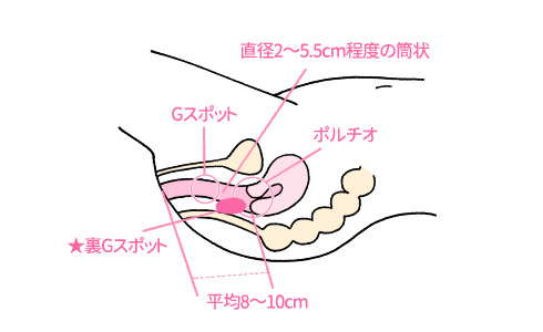 知ってるようで知らない、正しい『アナルセックス』ガイド