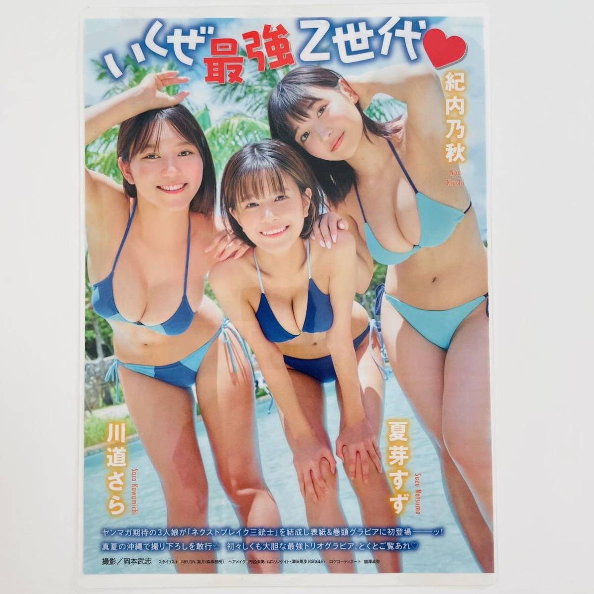 Natsume Suzu 夏芽すず, Young Magazine