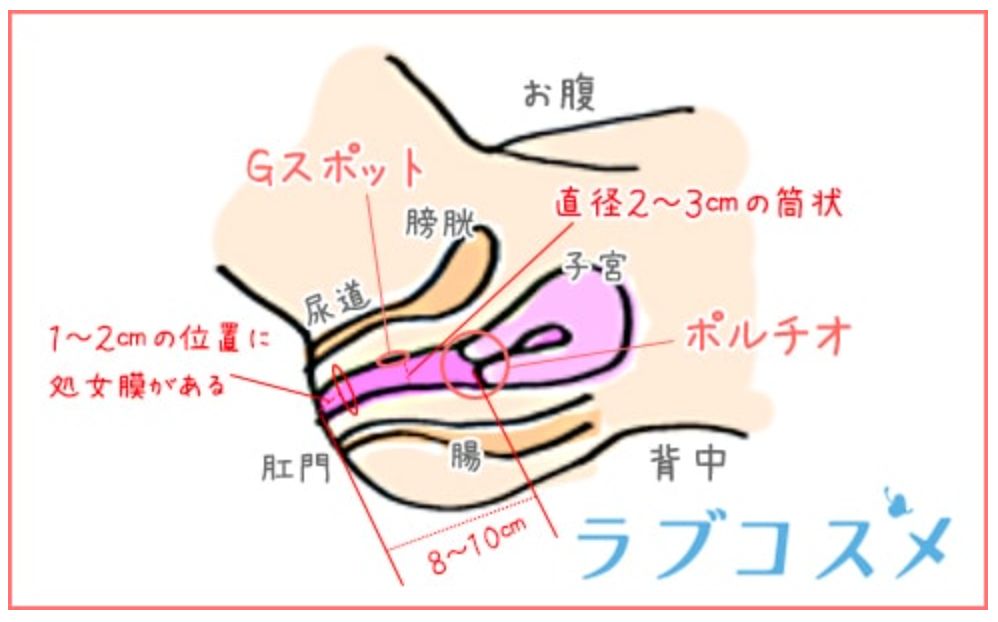 ペニスのサイズ（短小・巨根）について とある女性の意見 - TENGAヘルスケア プロダクトサイト