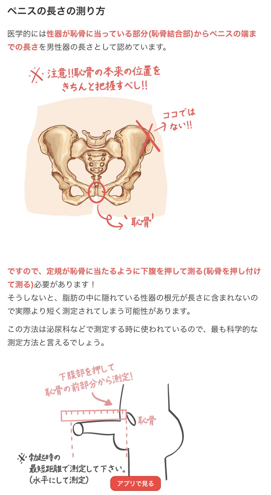 カリ高ペニスになる方法とは？カリ高の基準・亀頭増大のメリットなど - メンズラボ