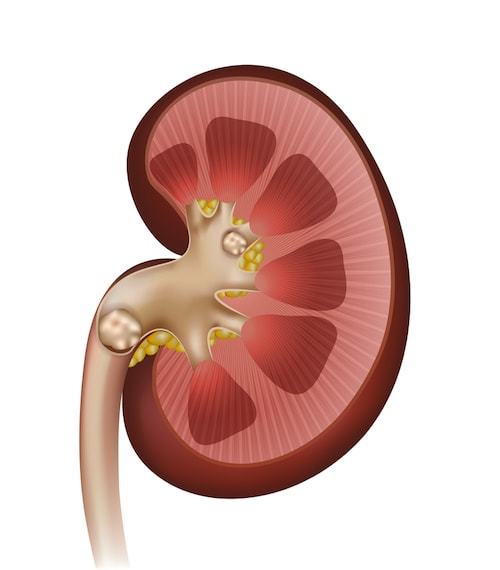 健康診断前にやってはいけない8つのこと