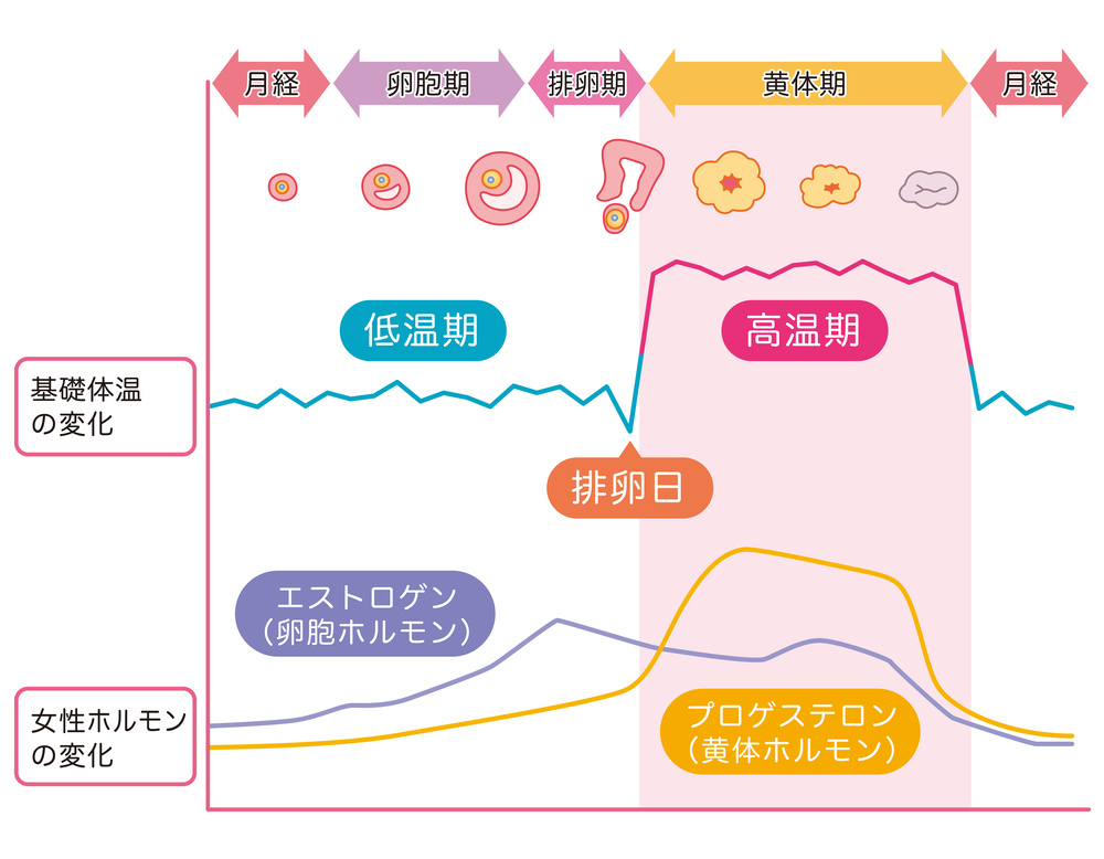 性欲を抑える薬はありますか」毎晩体を求めてくる70代夫に辟易…高齢者たちの“性”のリアル | 文春オンライン