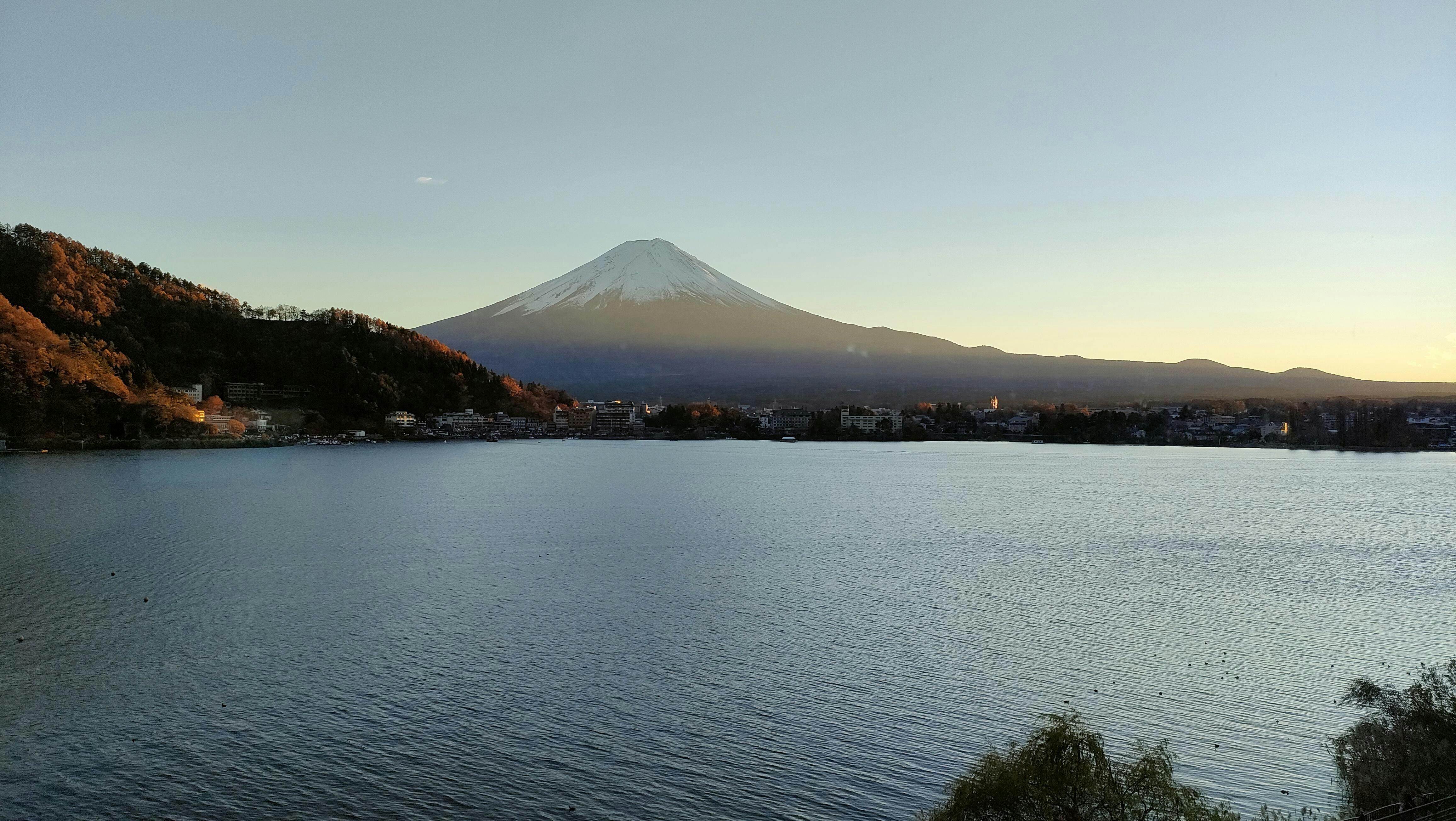 富ノ湖ホテル（富士河口湖町）：（最新料金：2025年）