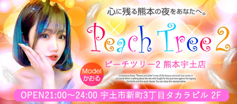 宇土キャバクラ ピーチツリー2熊本宇土店 （Peach