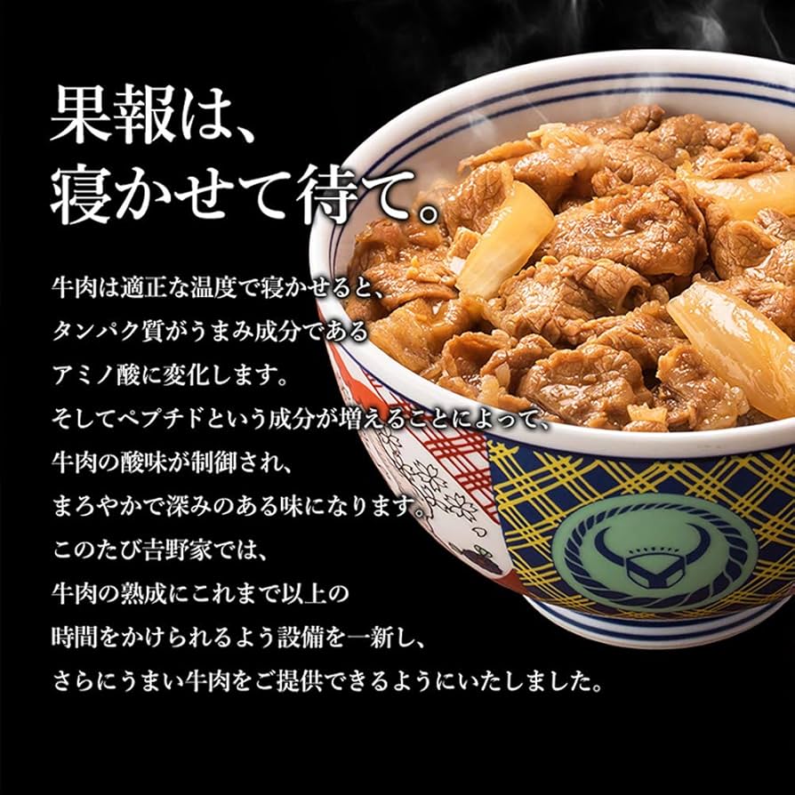 すき家牛丼の具5食×横濱カレー5食 | 999-307079