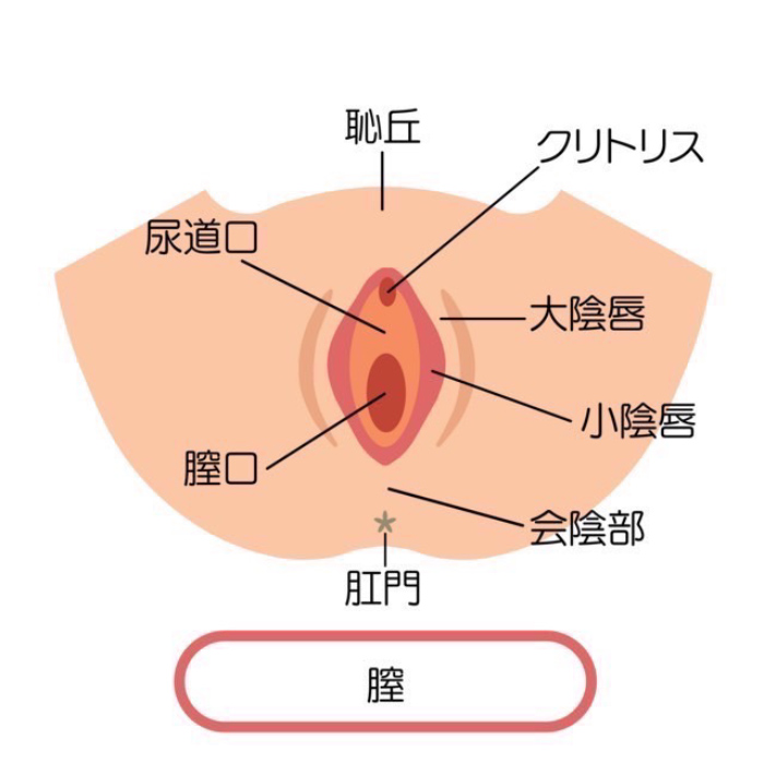 Qoo10 - ネット通販｜eBay