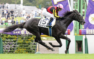 東京5R新馬】5番人気パーリーラスターが逃げ切り勝ち 横山武「レースセンスがある」 - スポニチ競馬Web