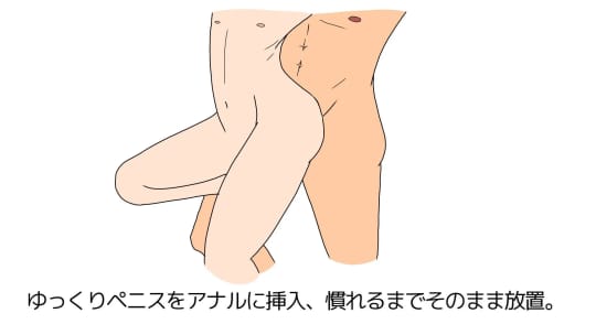 知ってるようで知らない、正しい『アナルセックス』ガイド