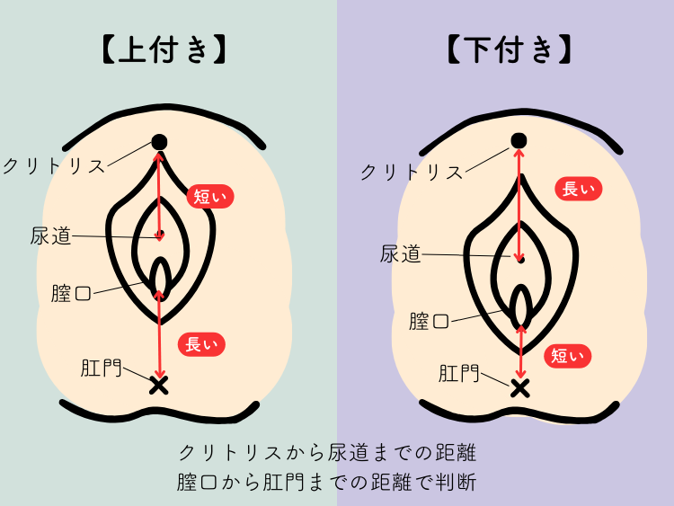 飲んだら乗るな。乗るなら飲むな｜まき