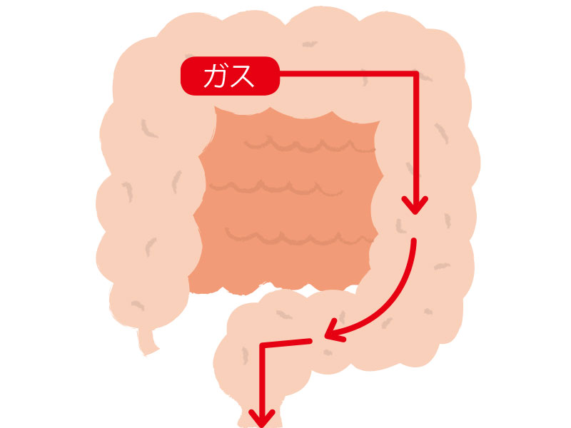 簡単！腸マッサージ】「夜ふかし・朝食抜きが習慣化」そんな人は、このほぐし技！【診断】｜美容メディアVOCE（ヴォーチェ）