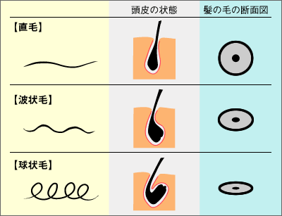 Iラインは処理すべき？アンダーヘアの正しいケア方法を紹介 - 藤東クリニックお悩みコラム