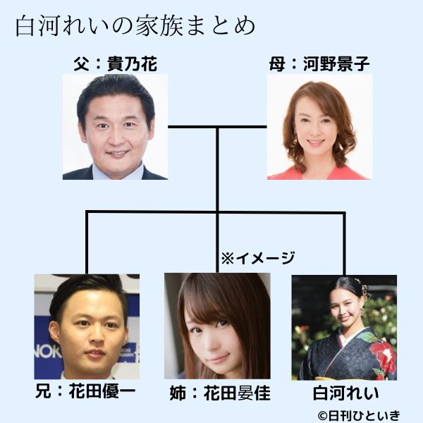 Amazon.co.jp: レースクイーンドライブ牛川とこ青柳玲麻玉城珠里小笠原美帆橋本紗和朝倉ひさみ坪水恵美たかひさともこ小口亜紀山本渚白川きみよ水嶋マキ  : おもちゃ