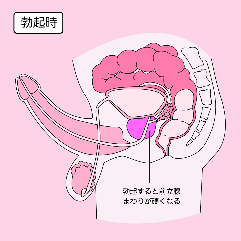 アナルセックスのやり方！準備と初めて開発 - 夜の保健室