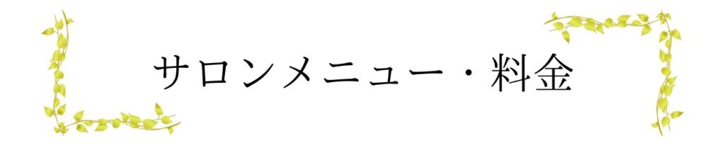 エステティックサロン Maple - ニードル脱毛 -