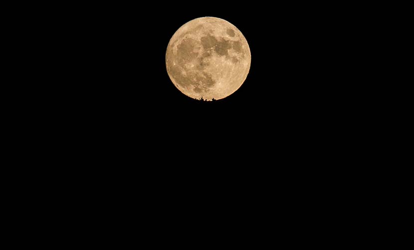 中秋の名月ハーベストムーン🌕 『牡羊座満月ブレンド💞』 ⁡