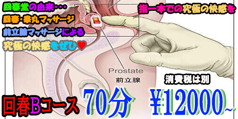 神戸風俗体験談】メンズエステ 回春堂神戸店 井上和香似の新人テクニシャン佐々木ゆづきさん口コミ体験談