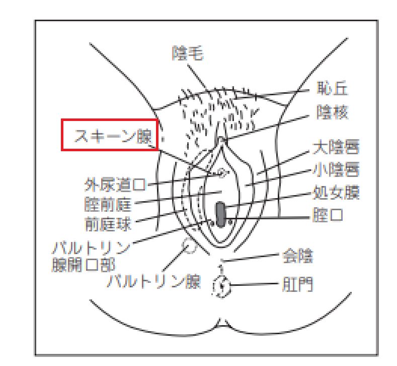 女が吹き出す潮のニオイと味 | 【きもイク】気持ちよくイクカラダ