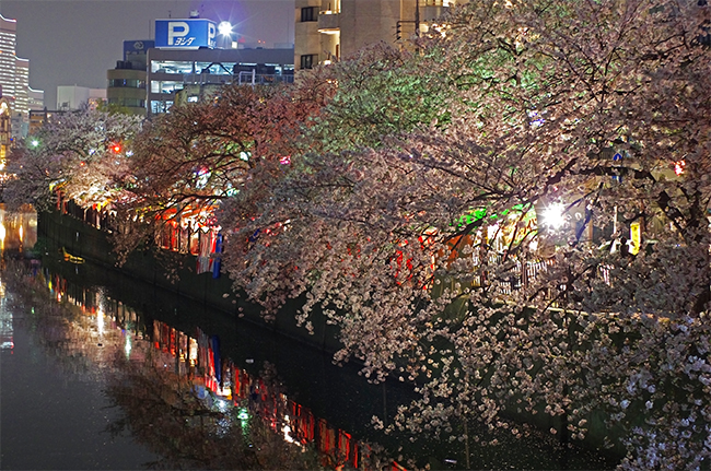 ロケーション｜【公式】エクセレントシティ横浜桜木町プロジェクト｜横浜市の新築分譲マンション｜市営地下鉄ブルーライン「桜木町」駅徒歩11分