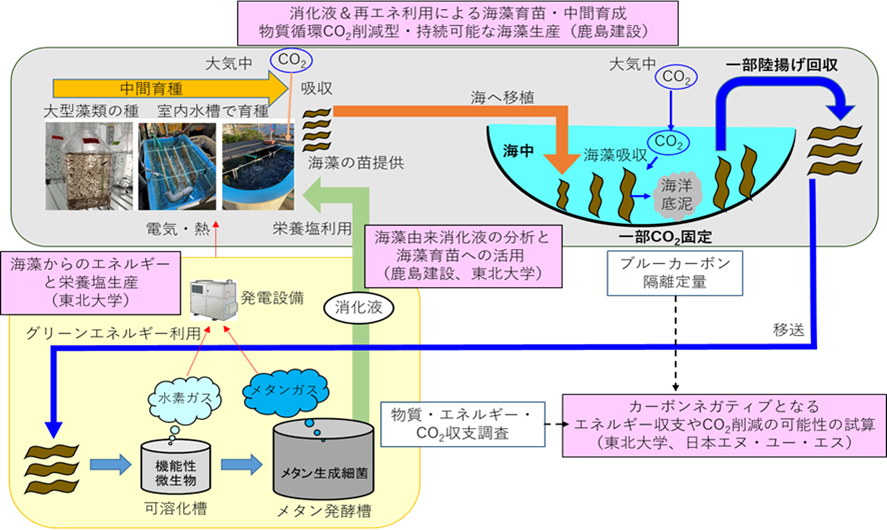 医院案内 ｜ 世田谷区桜新町の小児科さくらキッズくりにっく