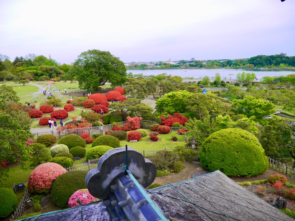 花と光の楽園『足利フラワーパーク』の圧巻のイルミネーション ５００万球のキラッキラ~ - 旅の先には福がある