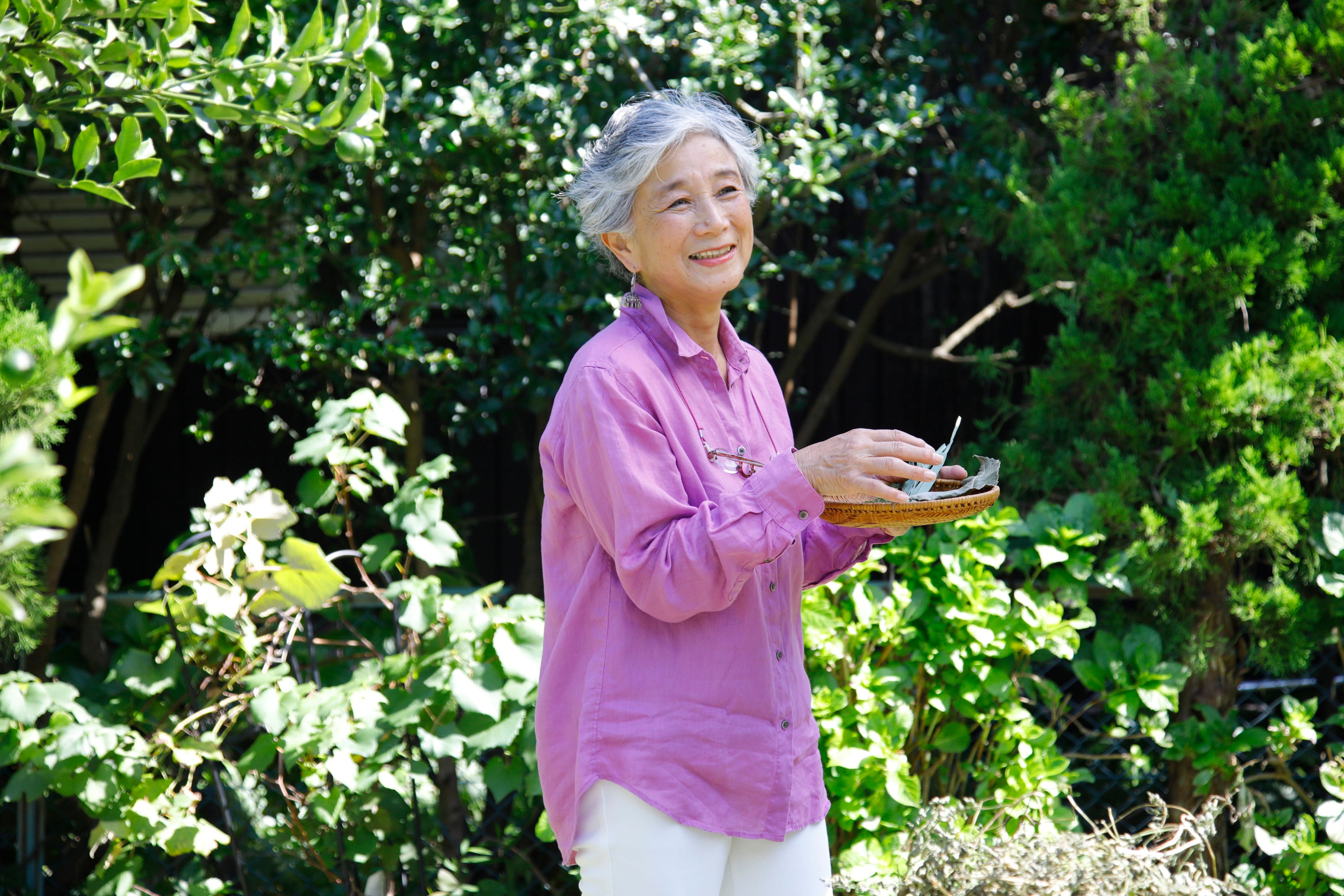 奥葉山ちいさんぽ : 湘南国際村