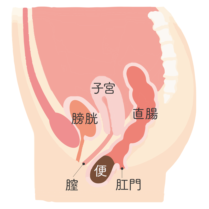 SEX中にうんち出ちゃったから膣に入れちゃった！[FJX-0720]: フェチ映像屋: スカトロ,SEX,スカトロ,うんこ: XCREAM