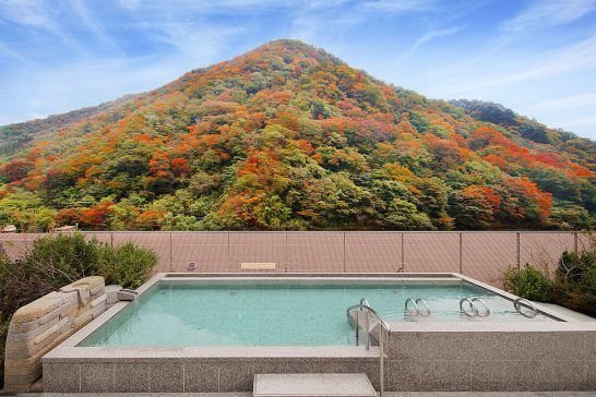 鬼怒川温泉 一心舘のクチコミ情報が満載！【フォートラベル】|鬼怒川温泉