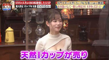 AV女優一覧 (えーぶいじょゆういちらん)とは【ピクシブ百科事典】