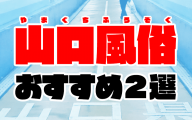 観光地の風俗街（その１：四国編） : みちくさ学会