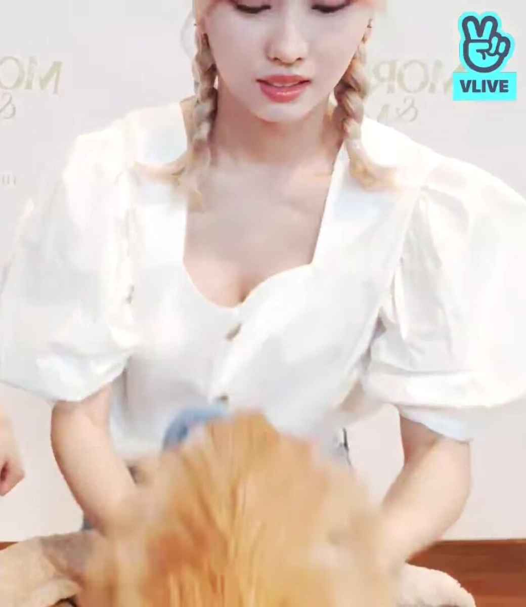 GIF】TWICEモモ 前かがみでガッツリ巨乳チラ : 画像ナビ!