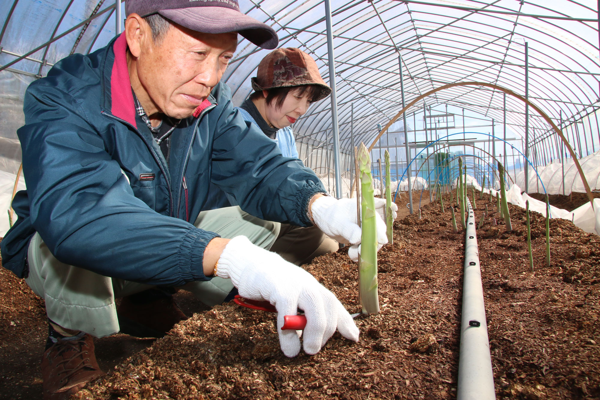 東進の東大本番レベル模試