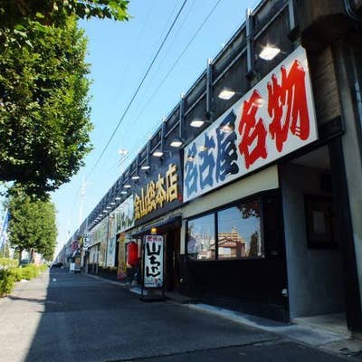 世界の山ちゃん 金山総本店 - 金山/居酒屋 |