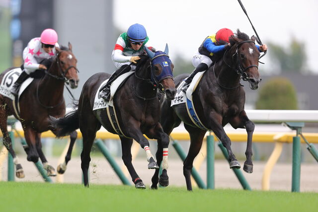 東京５レース三連複予想｜馬券予想武田しんのすけ