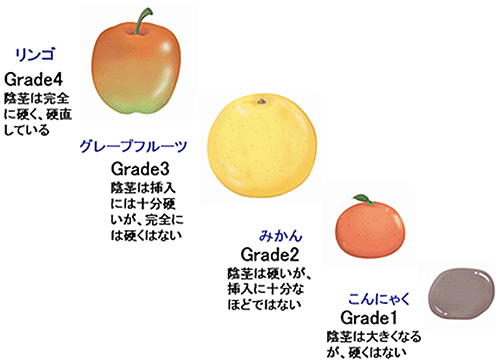 シアリスの飲み方・用法・用量 | 新橋ファーストクリニック【公式】