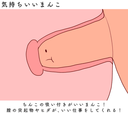 正しい手コキのやり方＆テクニックをイラスト付きで解説【現役風俗嬢が監修】｜ココミル