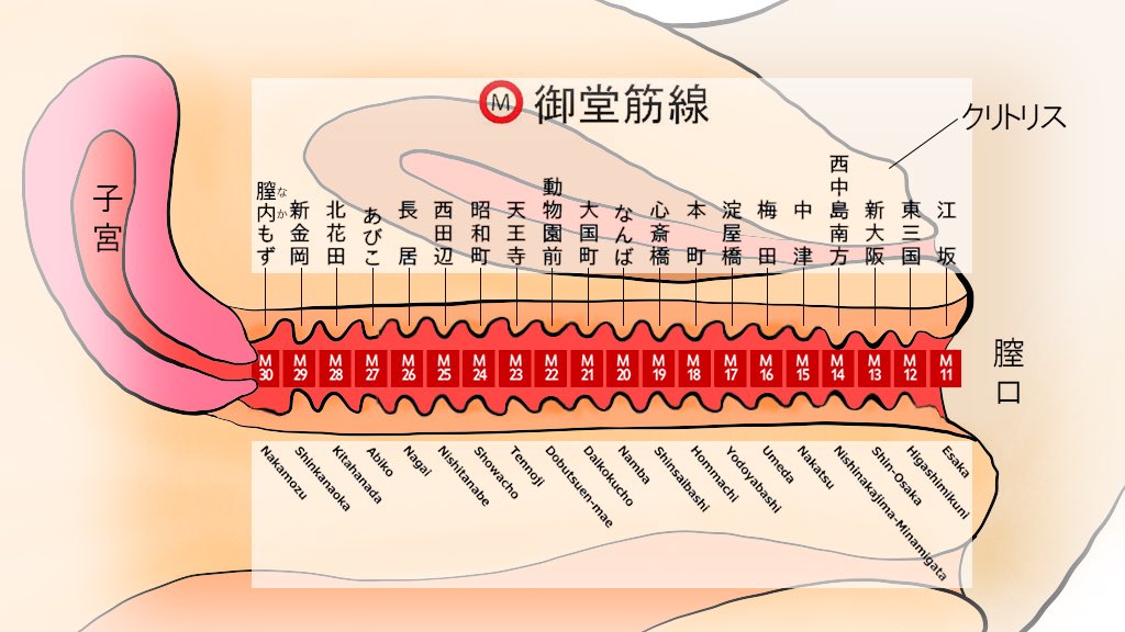 官能的な大人の快感！ 粘り付く膣壁×3つの弾力リングを搭載した特殊オナホ！ -