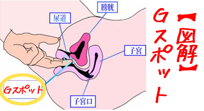 Lori 紫色 クリバイブ