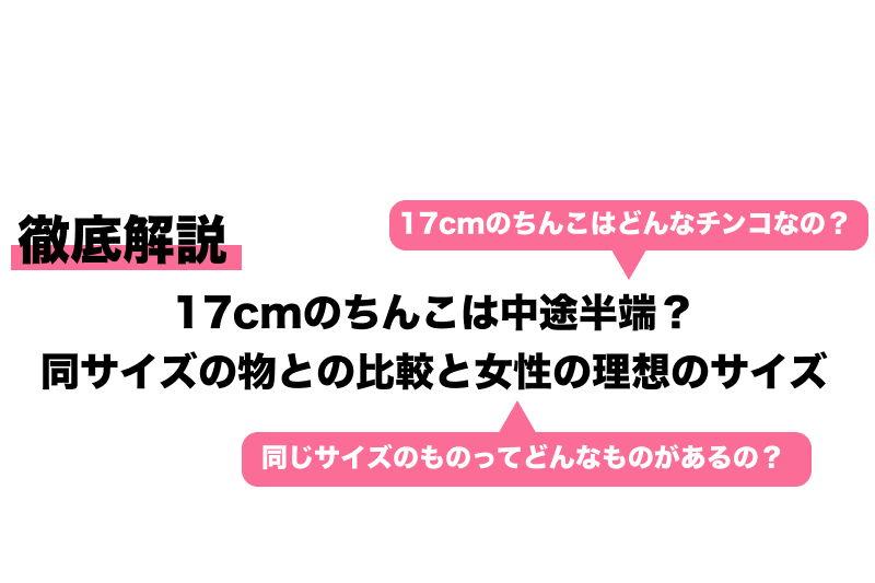 17cmのちんこは中途半端？同サイズの物との比較と女性の理想のサイズ｜Cheeek [チーク]