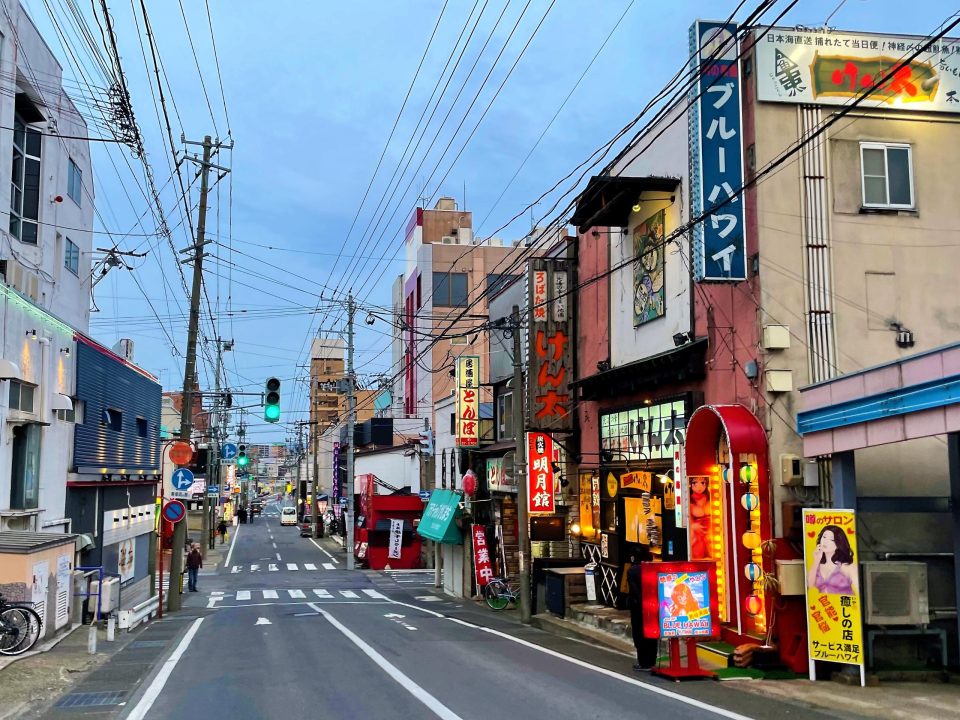 ゼリーポンチ「青の時間」／青森県弘前「可愛かったらそれでいい(植物以外の写真)」のアルバム-みんなの趣味の園芸1338339