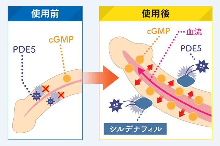 レビュー・体験談】カマグラPOLO(KamagraPolo)100mg[ストロベリー](オオサカ堂)